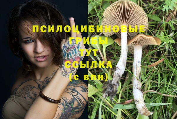 MESCALINE Протвино