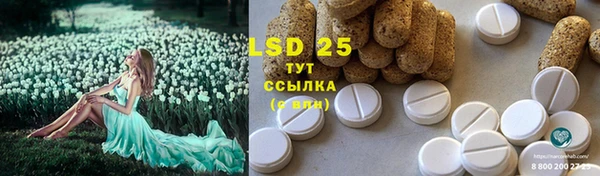 ПСИЛОЦИБИНОВЫЕ ГРИБЫ Инсар