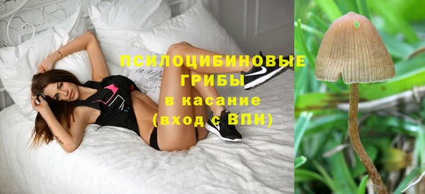 MESCALINE Инта