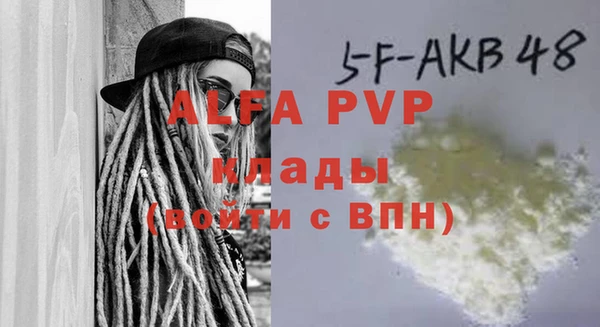 ПСИЛОЦИБИНОВЫЕ ГРИБЫ Инсар