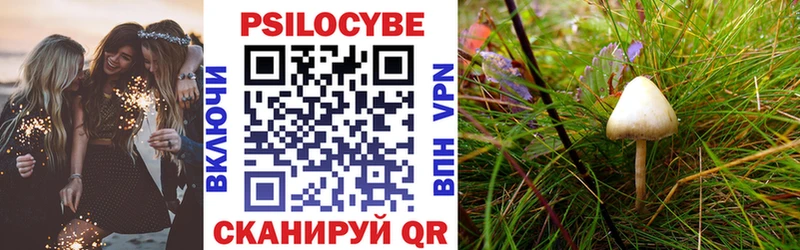 Псилоцибиновые грибы Cubensis Лодейное Поле