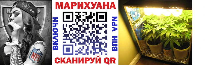 Шишки марихуана OG Kush Лодейное Поле